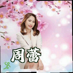 周蕾